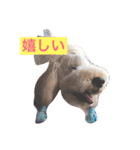 しあわせで〜すたんぷぅ（個別スタンプ：4）