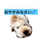 しあわせで〜すたんぷぅ（個別スタンプ：5）