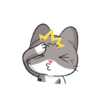 Meow the Tabby Cat : Animated Sticker（個別スタンプ：13）