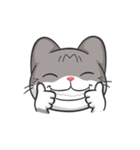 Meow the Tabby Cat : Animated Sticker（個別スタンプ：22）