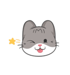 Meow the Tabby Cat : Animated Sticker（個別スタンプ：24）