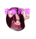丸山family.（個別スタンプ：23）