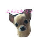 クリス（個別スタンプ：1）