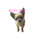 クリス（個別スタンプ：8）