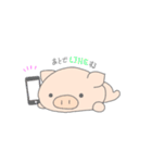 ぶぅちゃん（個別スタンプ：31）