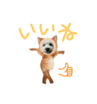 ウェスティもっちがもちニャンに！（個別スタンプ：4）