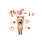 ウェスティもっちがもちニャンに！（個別スタンプ：5）