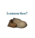 The Cat and kitten（個別スタンプ：11）