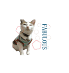 The Cat and kitten（個別スタンプ：28）