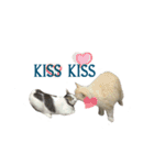 The Cat and kitten（個別スタンプ：36）