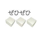 豆腐の写真スタンプ（個別スタンプ：29）