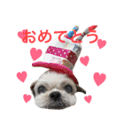 色々はなこむぎちゃん時々すずちゃん（個別スタンプ：5）