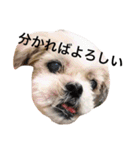 色々はなこむぎちゃん時々すずちゃん（個別スタンプ：7）