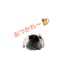 ごーるでんむっぎー（個別スタンプ：11）