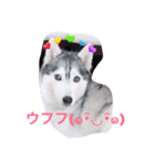 わたしはキャンディ！（個別スタンプ：3）