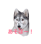 わたしはキャンディ！（個別スタンプ：4）