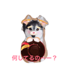 わたしはキャンディ！（個別スタンプ：5）