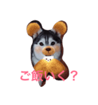 わたしはキャンディ！（個別スタンプ：6）