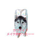 わたしはキャンディ！（個別スタンプ：7）