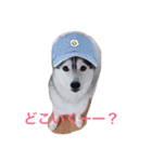 わたしはキャンディ！（個別スタンプ：8）