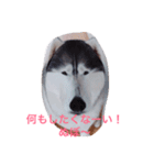 わたしはキャンディ！（個別スタンプ：9）