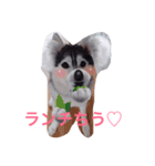 わたしはキャンディ！（個別スタンプ：12）