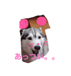 わたしはキャンディ！（個別スタンプ：15）