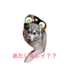 わたしはキャンディ！（個別スタンプ：16）