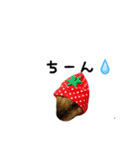フルーツキナコ（個別スタンプ：3）