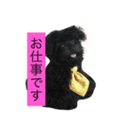 ポメプーチコ（個別スタンプ：4）