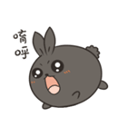 black black rabbit 4（個別スタンプ：1）