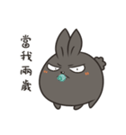 black black rabbit 4（個別スタンプ：6）