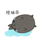 black black rabbit 4（個別スタンプ：9）