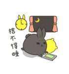 black black rabbit 4（個別スタンプ：16）