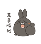 black black rabbit 4（個別スタンプ：17）
