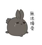 black black rabbit 4（個別スタンプ：19）