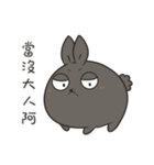 black black rabbit 4（個別スタンプ：20）