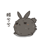 black black rabbit 4（個別スタンプ：21）