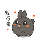black black rabbit 4（個別スタンプ：24）