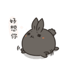 black black rabbit 4（個別スタンプ：25）