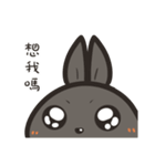 black black rabbit 4（個別スタンプ：26）