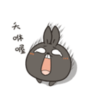 black black rabbit 4（個別スタンプ：36）