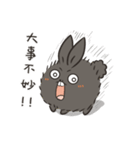 black black rabbit 4（個別スタンプ：39）