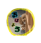 もこの日常会話（個別スタンプ：1）