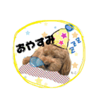 もこの日常会話（個別スタンプ：4）