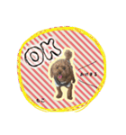 もこの日常会話（個別スタンプ：5）