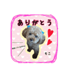 もこの日常会話（個別スタンプ：8）
