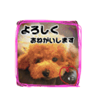もこの日常会話（個別スタンプ：11）