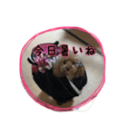 もこの日常会話（個別スタンプ：14）