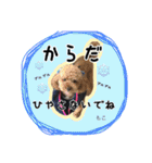 もこの日常会話（個別スタンプ：15）